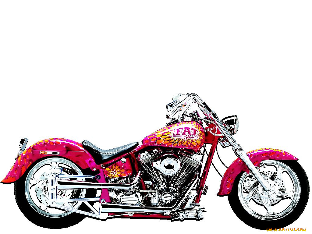 , harley, davidson